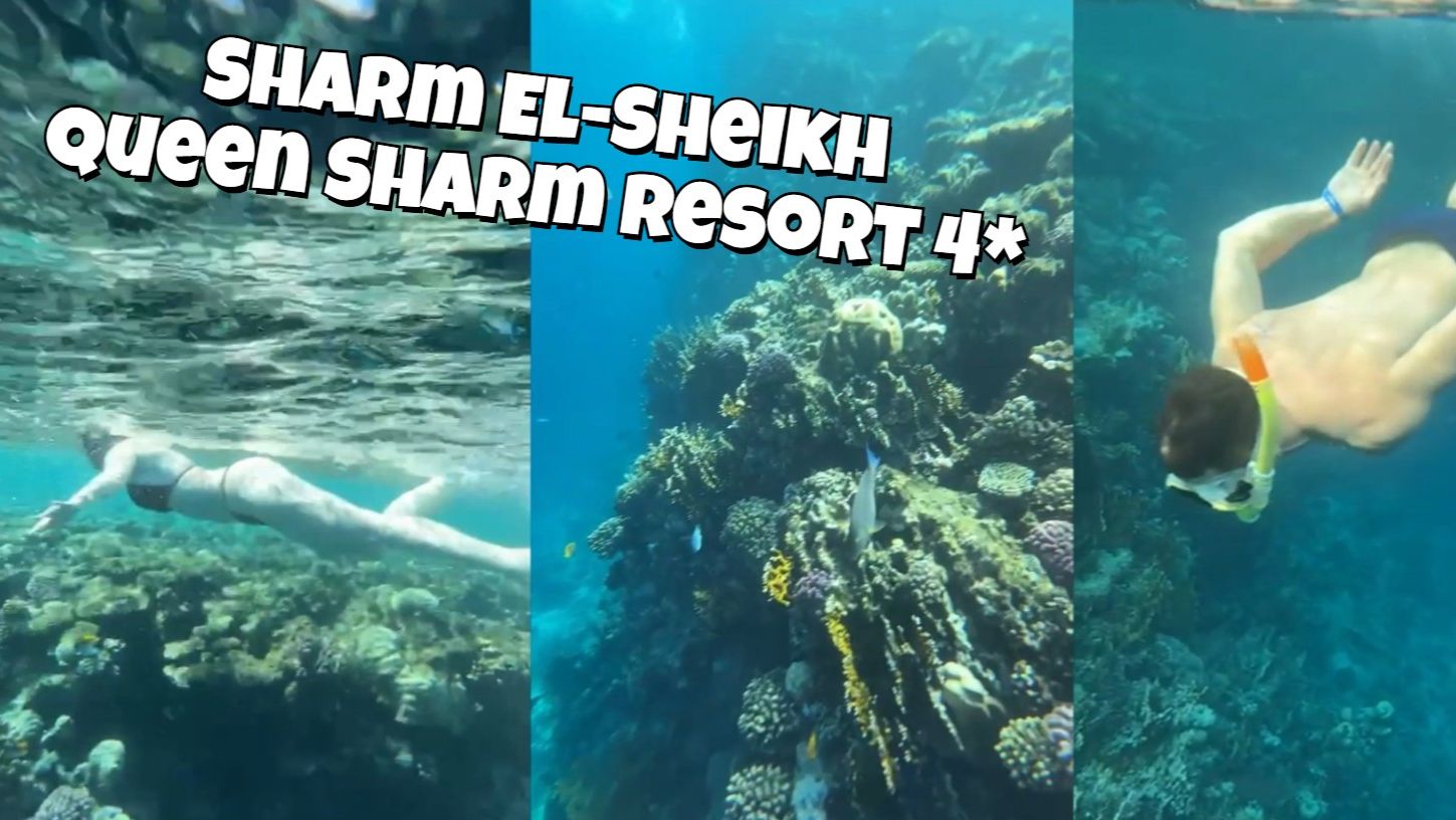 Египет, Sharm El-Sheikh, январь 2026