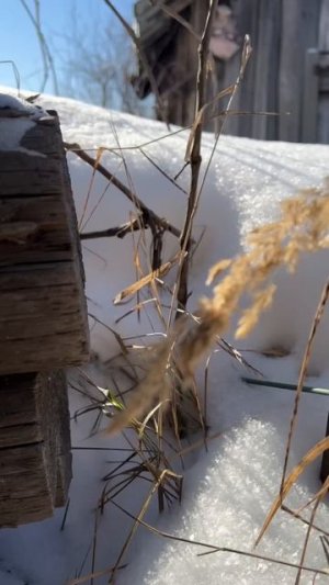 Для тебя #Луч. #Солнце. #Грусть. #Снег. #Весна. #Деревня.