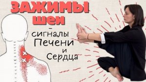 Почему болит шея и зона между лопаток? Практика цигун для Печени и Сердца