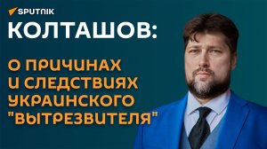 Колташов: о причинах и следствиях украинского "вытрезвителя"