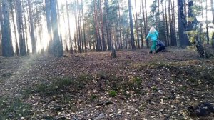выживание в лесу ЧАСТЬ 50