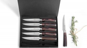 Ножи кухонные PAUDIN S3 steak knives