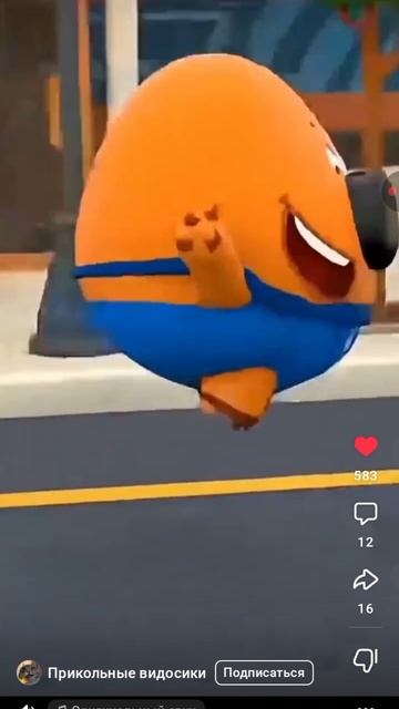 бобожииииииир