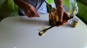 Результат проращивание виноградных черенков в домашних условиях.Проращивание черенков зимой