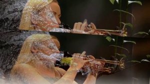 Три подвига