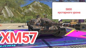 5800 из куста