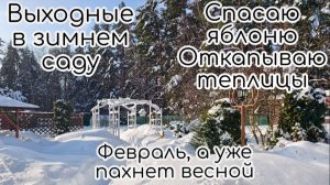 Борюсь с сугробами😂 Откапываю теплицы, яблоню, чтобы не сломало. Кормлю синичек