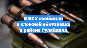В ВСУ сообщили о сложной обстановке в районе Гуляйполя