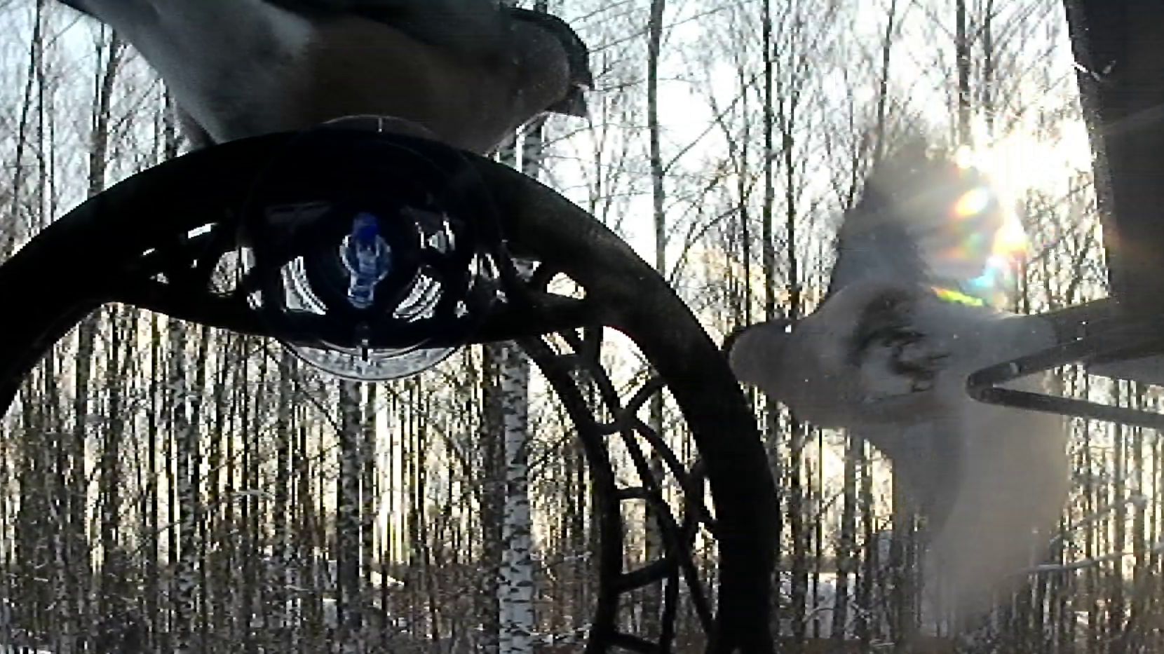 Снегирь каркает на снегиря