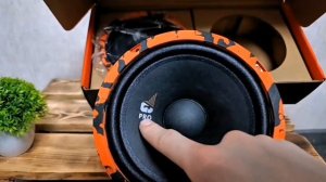обзор и прослушка Dl audio Gryphon pro 165 midbass