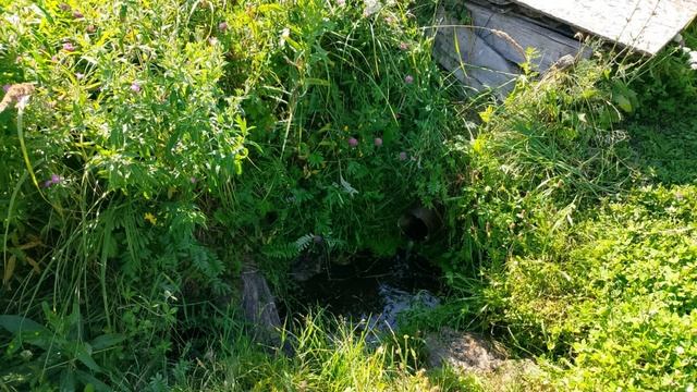 Живое чудо земли Хопёрской