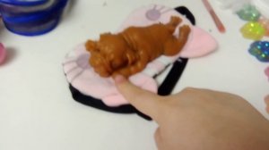 утренний влог с Брауни