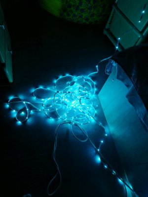 Сашка Чашка