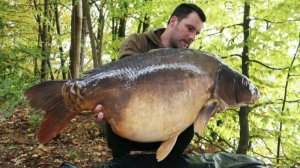 Ловля крупных карпов в Европе. 2014г. часть 3