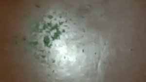 Видео (Колеккция Порваных И Отрежанных Листиков С Дерева В Банке И Они Же Выбрасанные