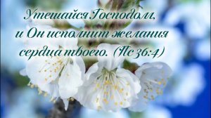 Весна надежды впереди 🌷 | христианская песня | Матвей Лущик, Исаак Хачатрян