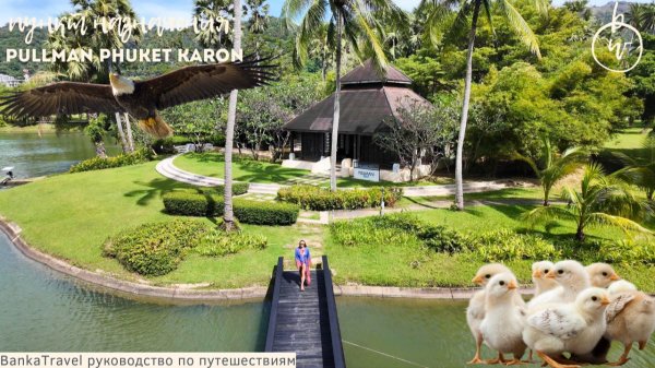 Пхукет  Pullman Phuket Karon Beach Resort 5* — стоит ли ехать на Карон?