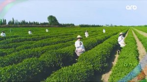 Возобновление вещания (ARB HD (Азербайджан), 17.02.2026)