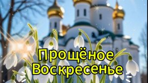 🕊️ Прощёное воскресенье! Видео пожелания! 🙏