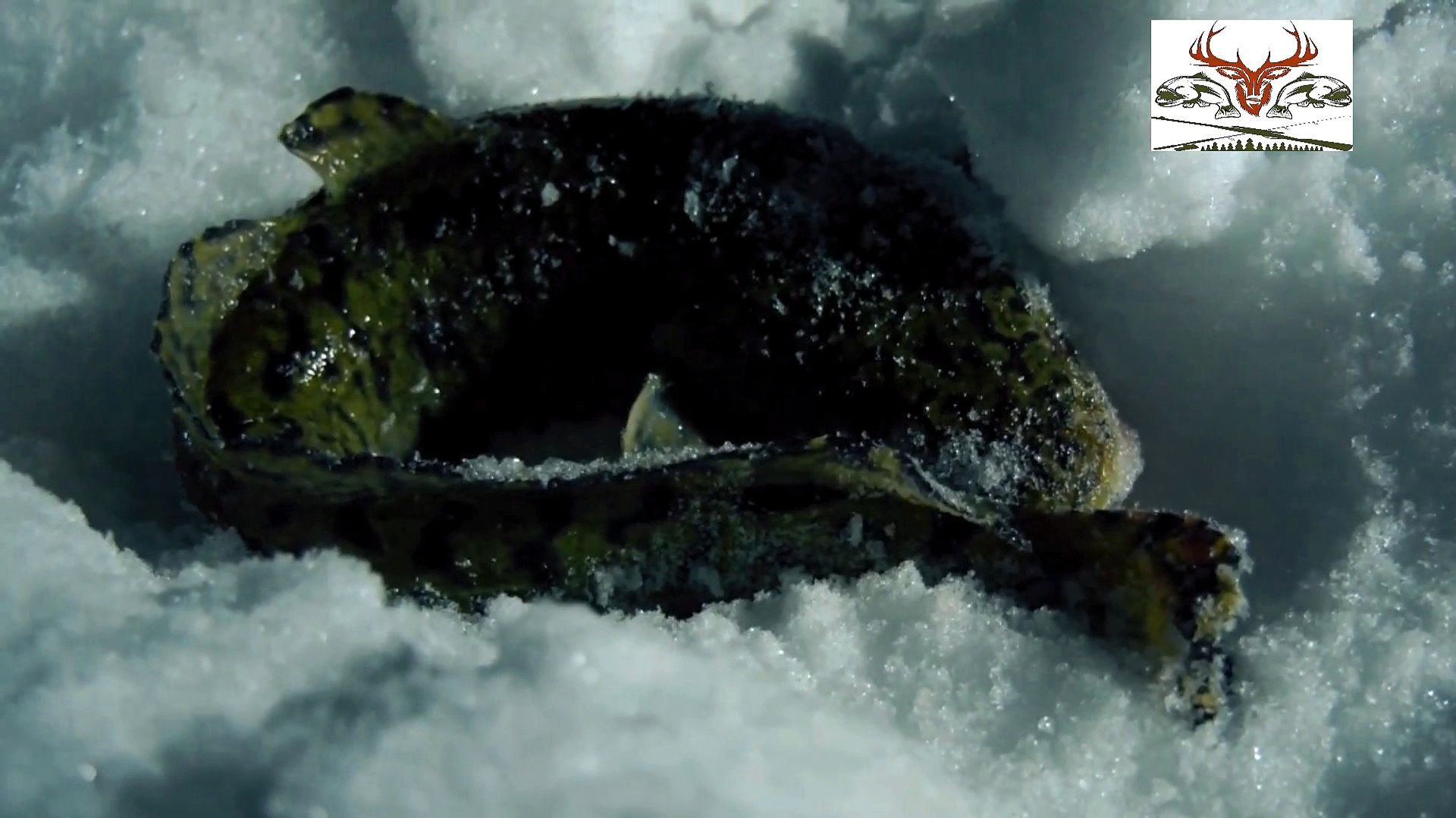 Ночная рыбалка на налима зимой смотреть онлайн