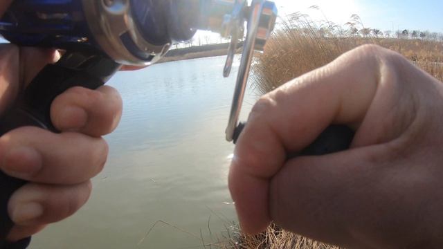 Змейеголовы на дергач