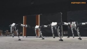 Гала-мероприятие Unitree Spring Festival - 2026 с роботами в Китае