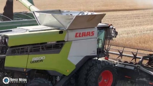 кратные зерноуборочные комбайны Claas Lexion и Black Challenger X-Edtion в крупномасштабной эксплуат