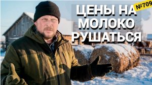 Выжить любой ценой: цены на молоко рухнули. Что будет дальше?