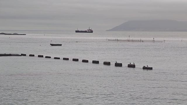 Кабардинка 14.02.2026