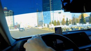 Просто день Бизона Яндекса