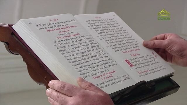 Евангелие 19 февраля. Отче! в руки Твои предаю дух Мой. И, сие сказав, испустил дух смотреть онлайн