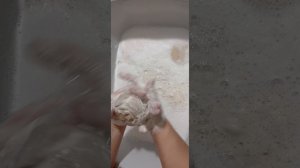 ВКУСНЕНЬКО 🍓🍃