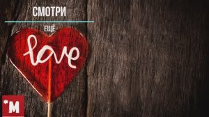 Термикарий своми руками для термитов