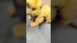 1серия продолжение