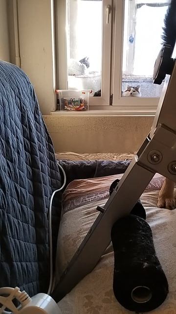 Что делает Герда когда я ухожу из комнаты🤑😝☺