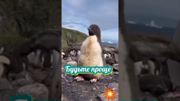 29e53c76-52b5-47e6-9709-20016138b232.mp4