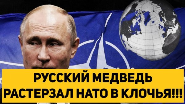 РУССКИЙ МЕДВЕДЬ РАСТЕРЗАЛ НАТО В КЛОЧЬЯ!!!