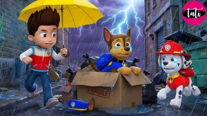 Щенячий патруль и Маршалл. Залипательное видео. Мультфильм для детей и малышей. Анимация 241