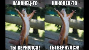 Эфир 17.02.2026. Снова стримы в 19:00! Переговоры в Женеве. Телега. Обстрелы. Иран и США. На фронтах