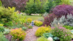 Декоративные кустарники в саду. Какие кустарники дают самосев.