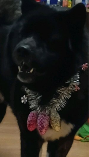 делаю бумажную косметику