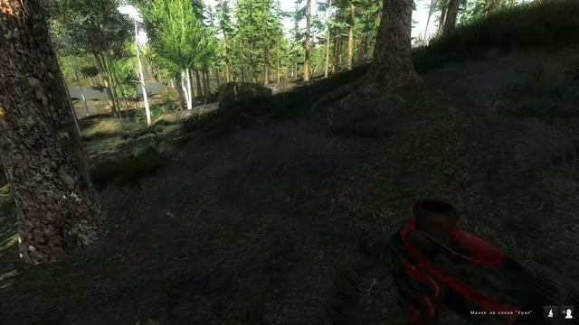 theHunter Classic - 2026-02-17 13-43-21