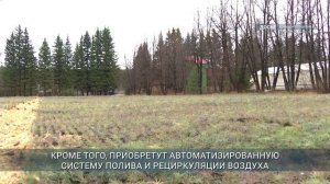 Модернизировать Мегетский лесопитомник планируют в 2026 году