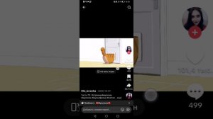 Кошка арабка