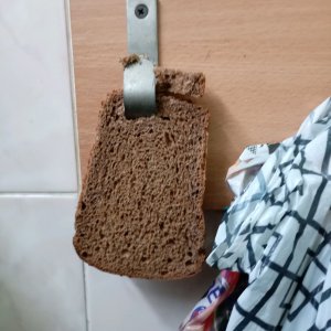 делаю уроки