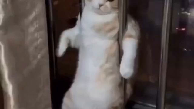 Работа, что я думаю о тебе