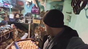 Привез корма для животных, крашу столбики, запустил инкубатор.