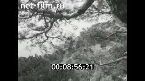 Гостиничный комплекс «Новый Свет», Судак