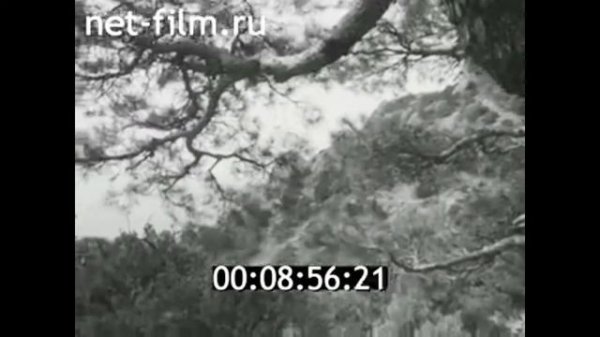 Гостиничный комплекс «Новый Свет», Судак