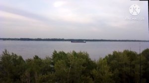 На прогулке.